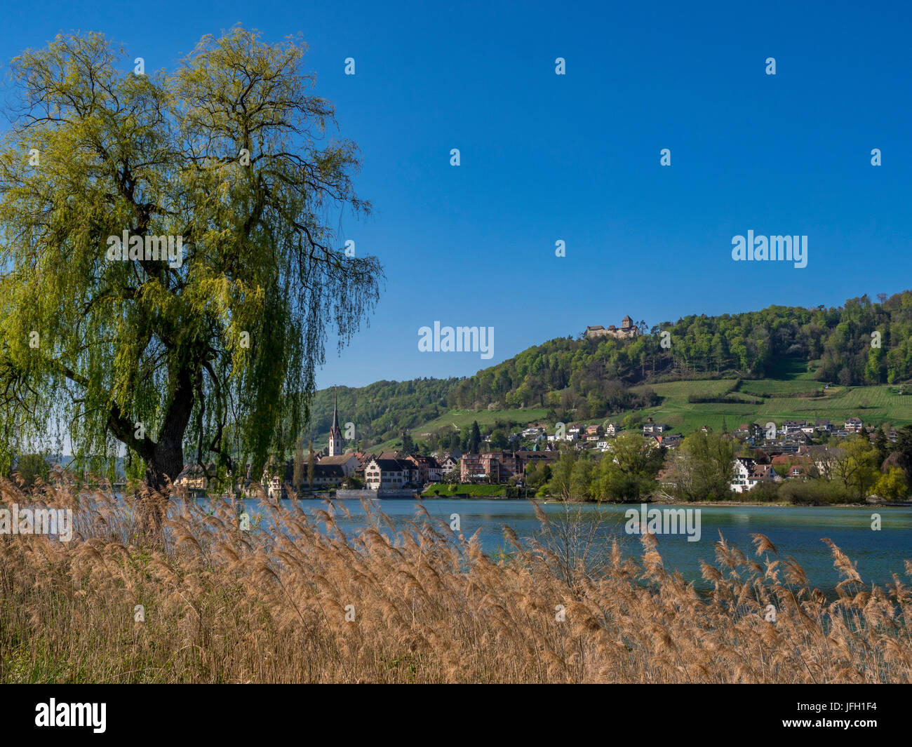 View of the island group of Becoming over the Rhine, behind it the Old Town of Stein at the Rhine and the castle high blades, canton Schaffhausen, Switzerland, Europe Stock Photo