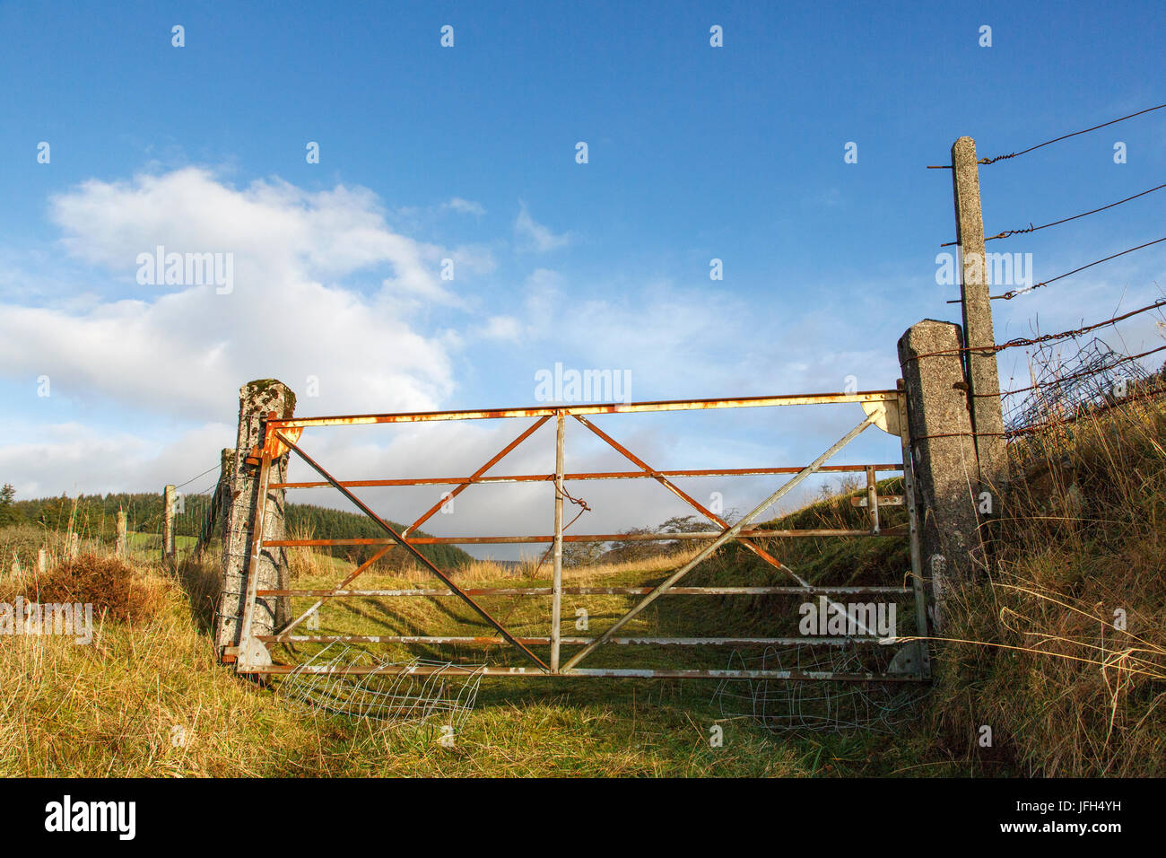 Farm Gate on Brecon Beacons Stock Photo - Alamy