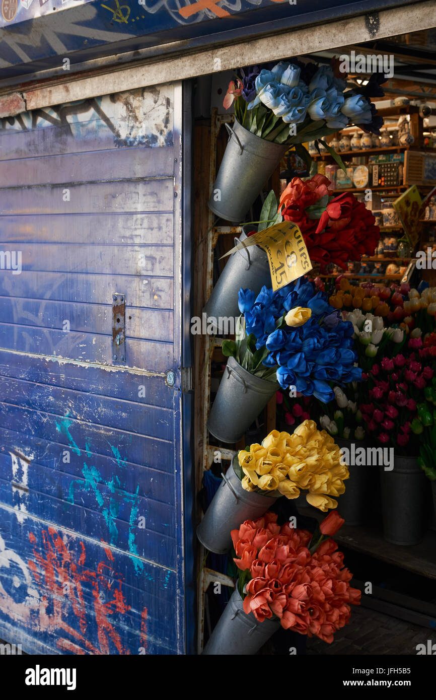 Tulips in an Amsterdam flower shop Stock Photo Alamy