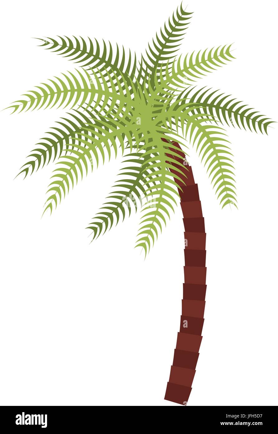 tropical palm icon Stock Vector Image & Art - Alamy