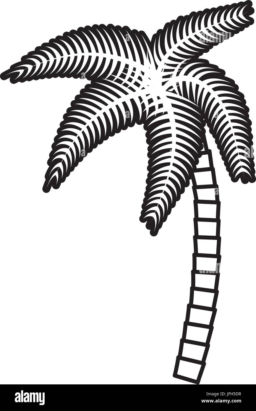 tropical palm icon Stock Vector Image & Art - Alamy
