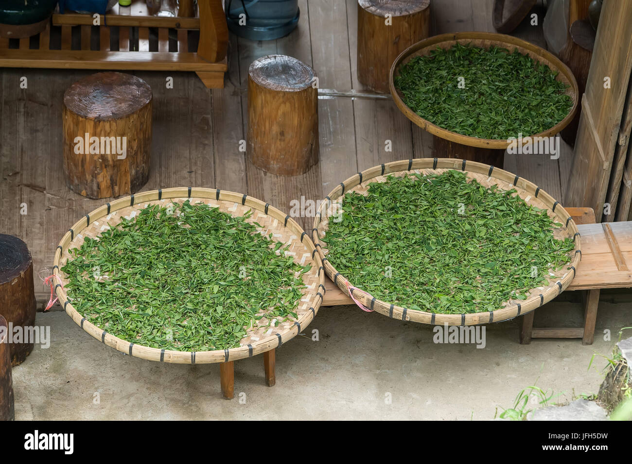 Fresh leaves of tea Stock Photo Alamy