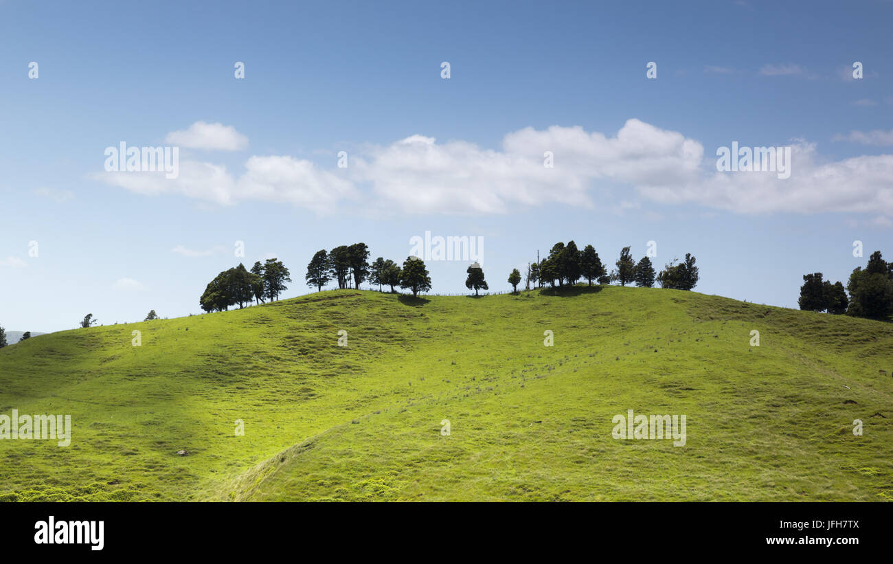 typical landscape in north New Zealand Stock Photo