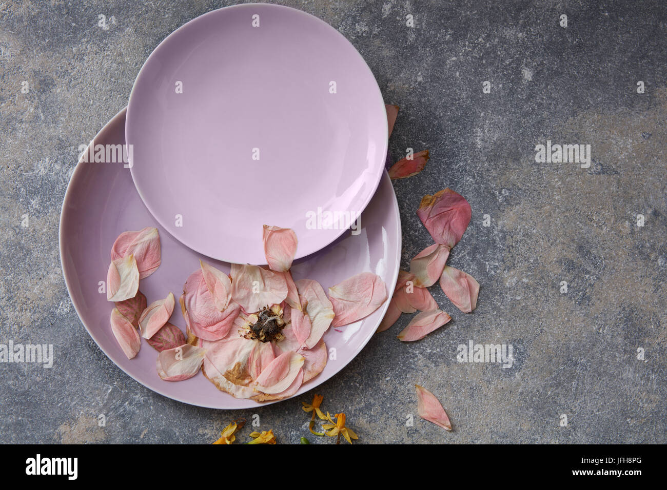 Dried petals on pink plates Stock Photo