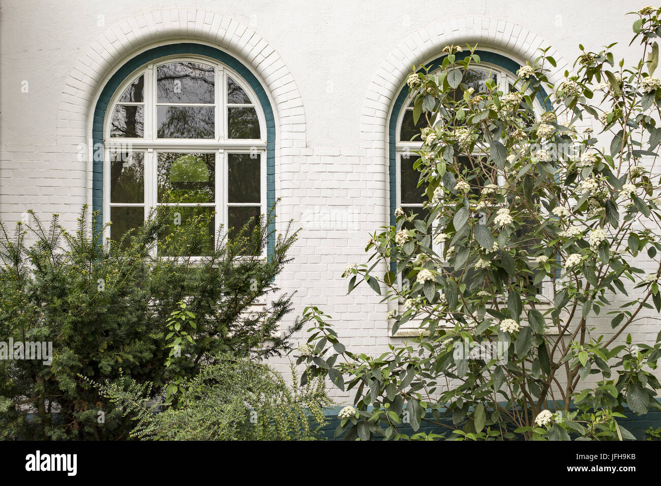 2 nostalgic windows covered by shrubs Stock Photo