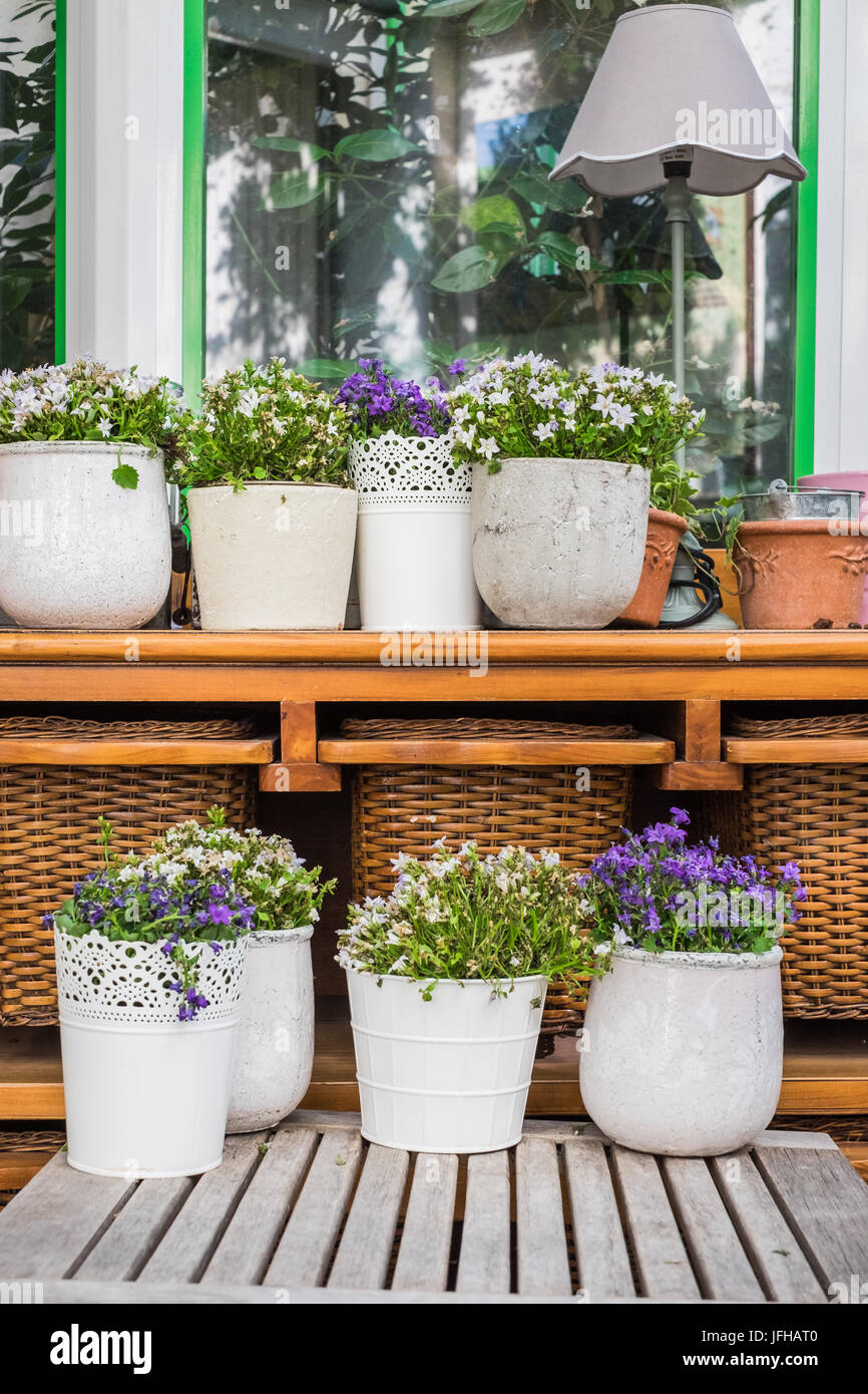flower pots on bench and tables Stock Photo Alamy