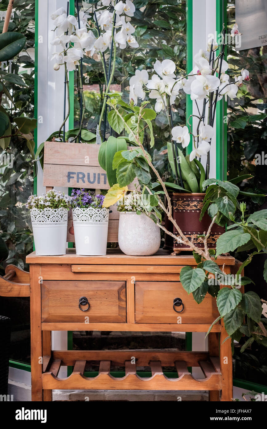 flower pots on bench and tables Stock Photo Alamy