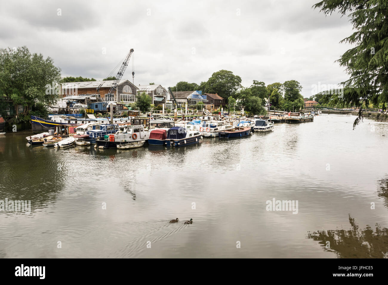 View of the River Thames at Eel Pie Island, Twickenham, London UK Stock Photo