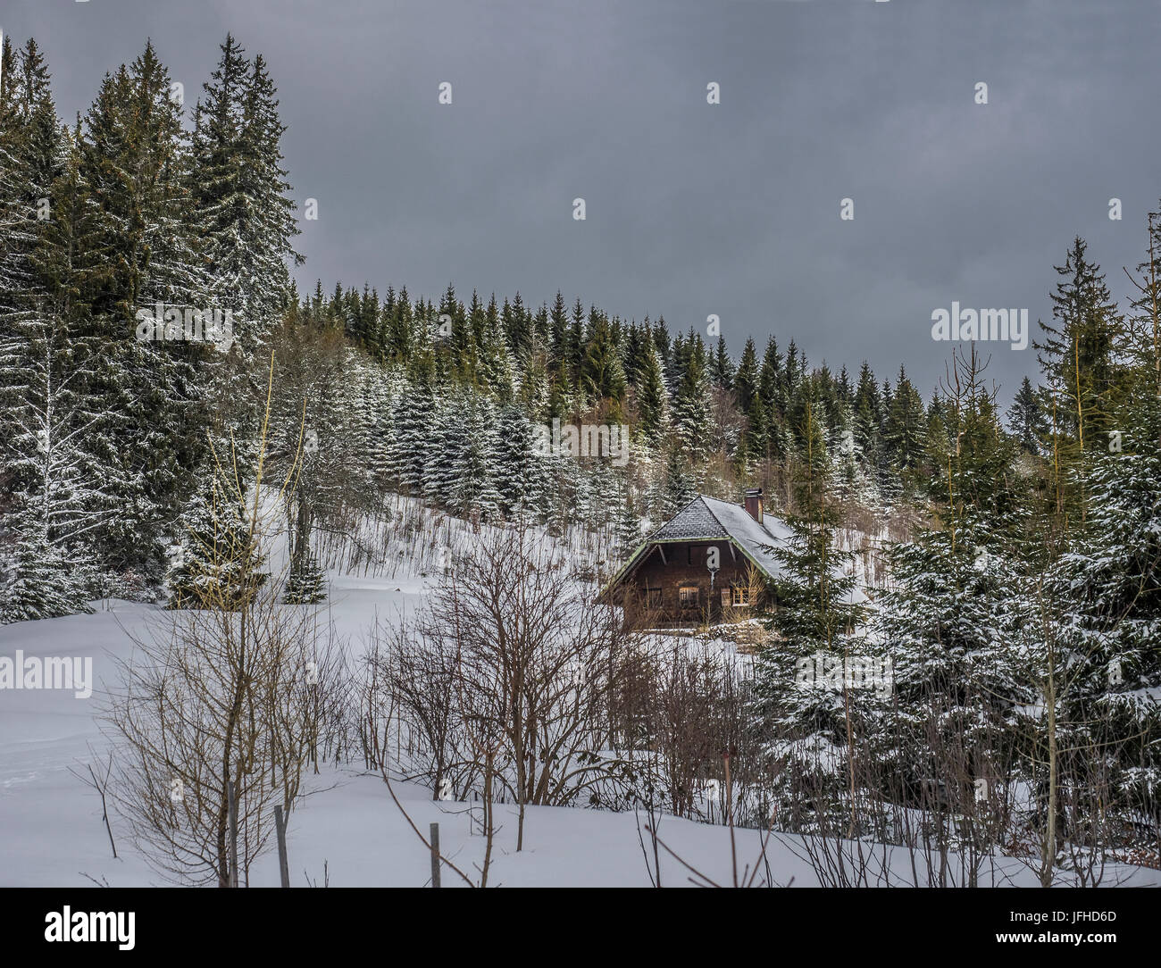 Log cabin on snowcapped mountain by coniferous trees against sky Stock Photo