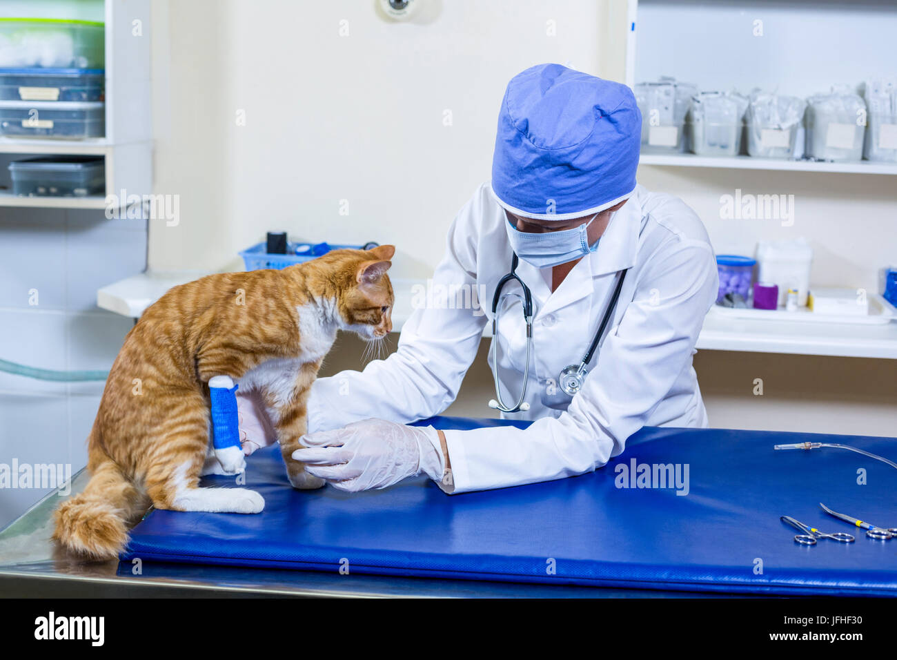 Examination room vet hi-res stock photography and images - Alamy