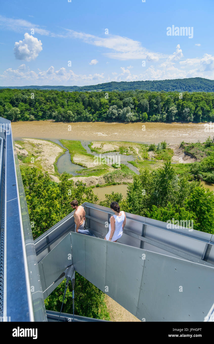 view from outlook tower Murturm, riparian forest, river Mur, Mureck, Süd-Steiermark, Steiermark, Styria, Austria Stock Photo