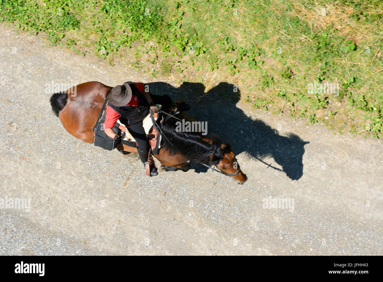 horse and horseman, cowboy look, from above, Mureck, Süd-Steiermark, Steiermark, Styria, Austria Stock Photo