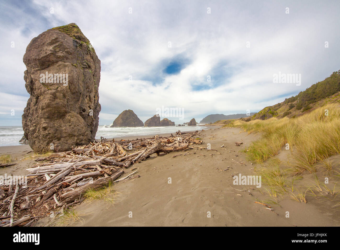 Sea stacks and driftwood on the Pacific coast of O Stock Photo