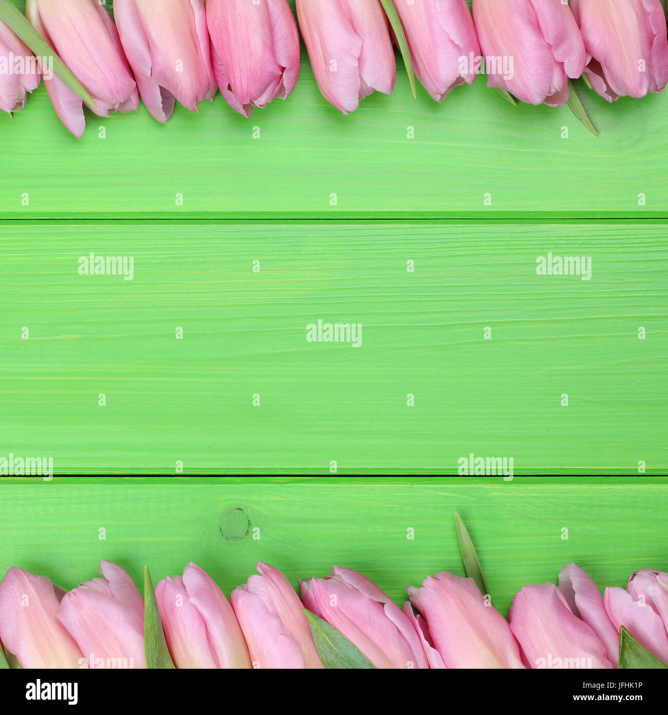 Rahmen aus Tulpen Blumen zum Frühling mit Textfreiraum Stock Photo