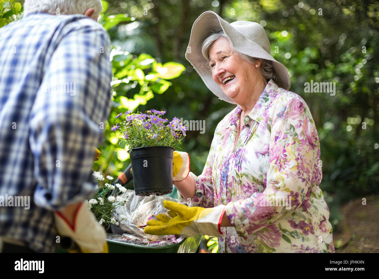 Senior woman holding potted plant in front of husband Stock Photo - Alamy