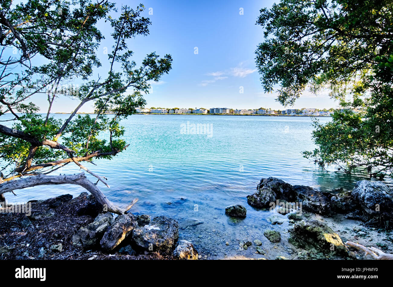 beautiful beach and ocean scenes in florida keys Stock Photo