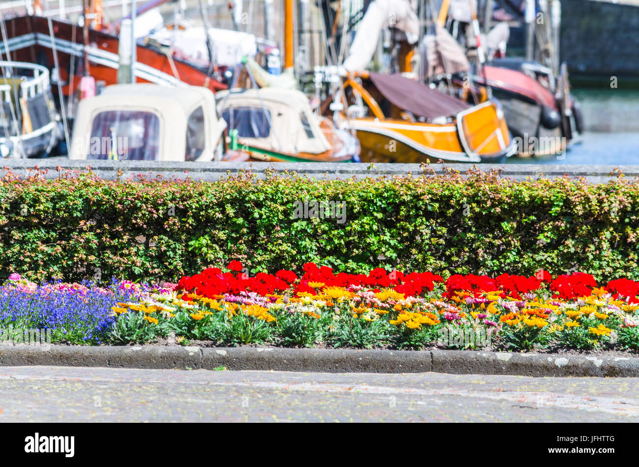 Colourful flower bed in the background a harbor. Stock Photo