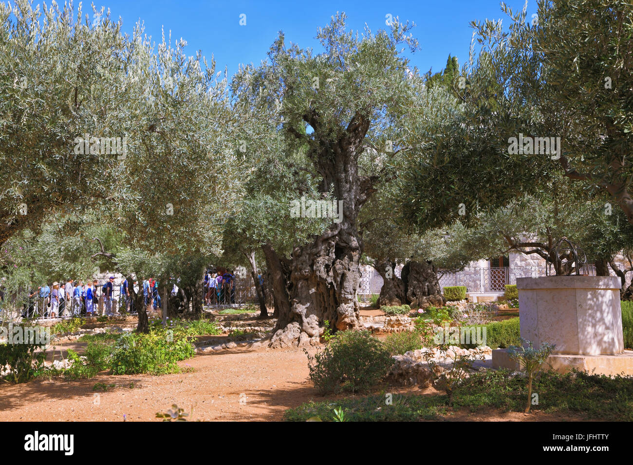 Bustling walking tour in Garden of Gethsemane Stock Photo