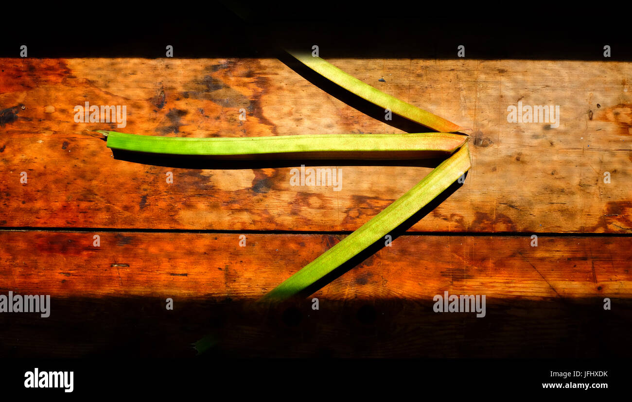 3 pieces of rhubarb in the shape of an arrow, one log piece of rhubarb in the middle and two shorter pieces touching the longer piece to form the shap Stock Photo