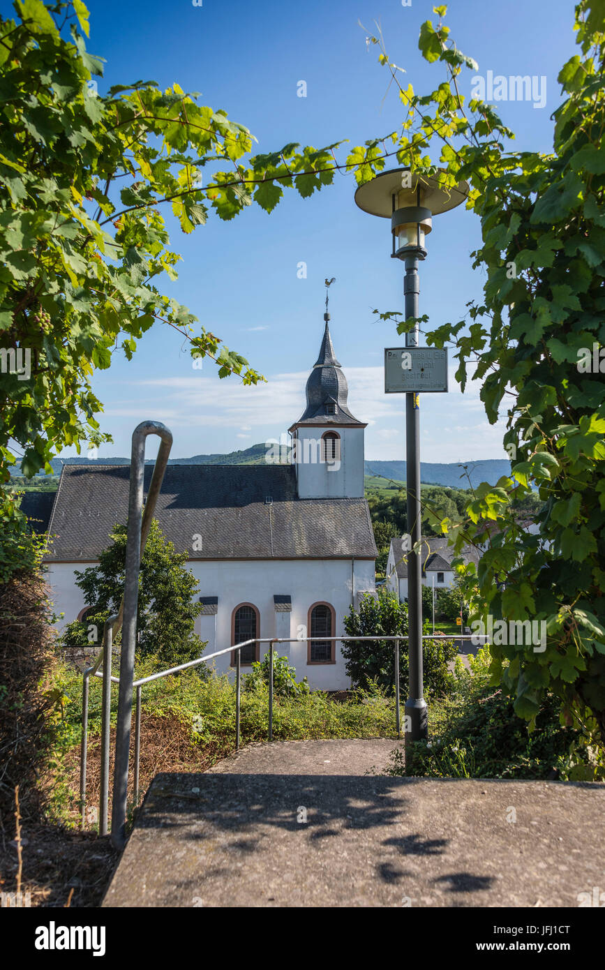Europe, Germany, Rhineland-Palatinate, district Trier-Saarburg, the Moselle, Mittelmosel, roman wine road, Klüsserath, legend way Stock Photo
