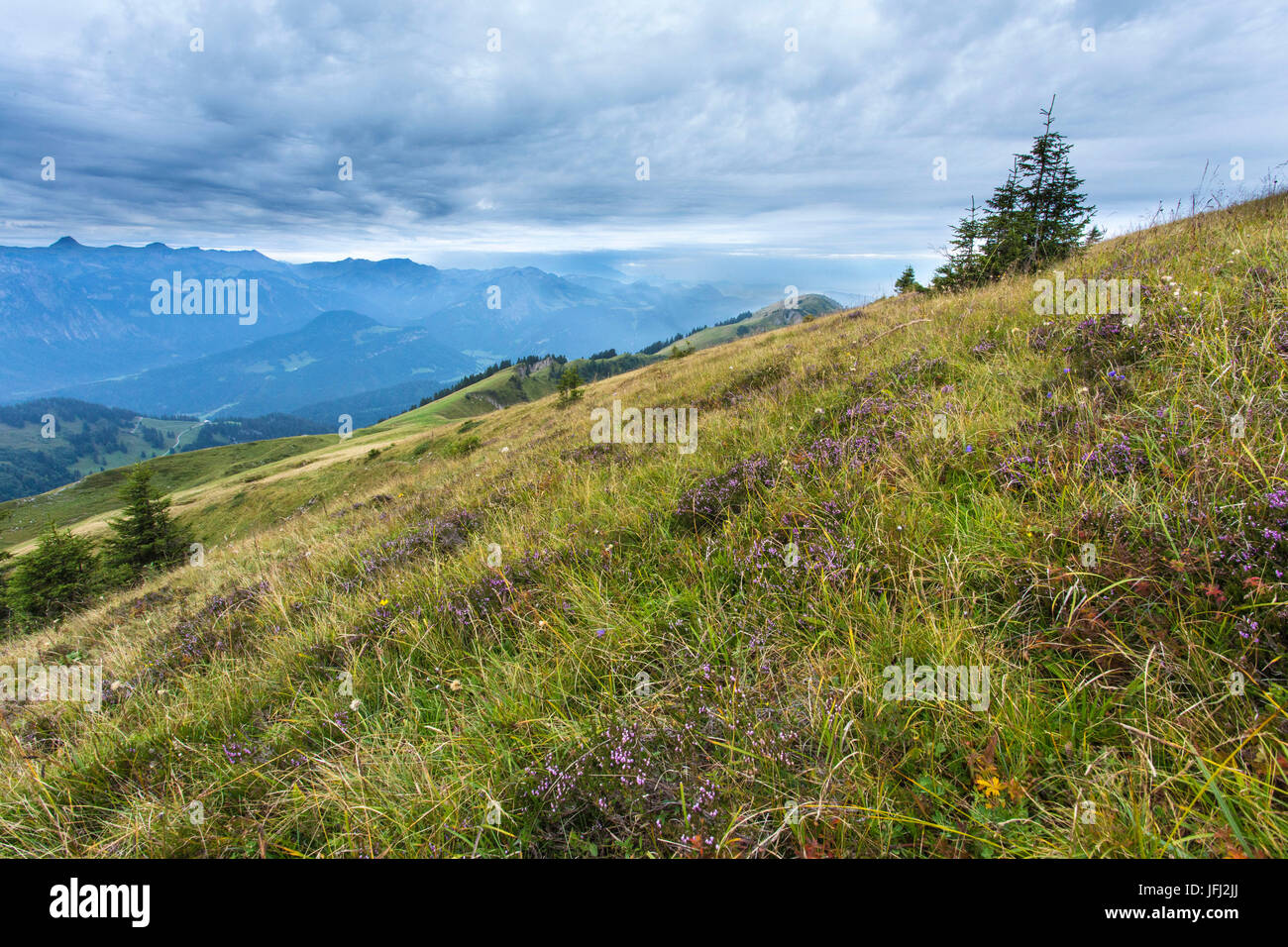 Mountain pasture with view in the rear Bregenzerwald, clouds, summits Stock Photo