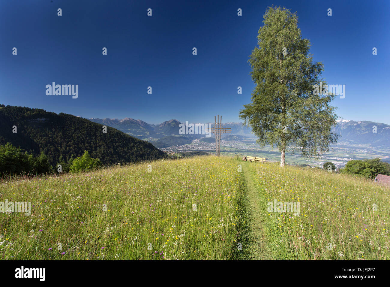 Lookout with cross, tree, blue sky, way, Rhine Valley Stock Photo