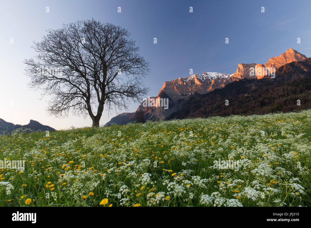 Spring scenery hi-res stock photography and images - Alamy