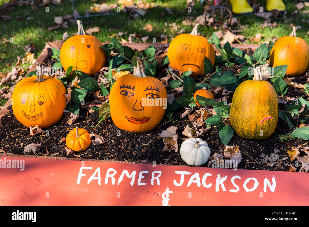 Halloween decoration in the rural New Hampshire Stock Photo Alamy