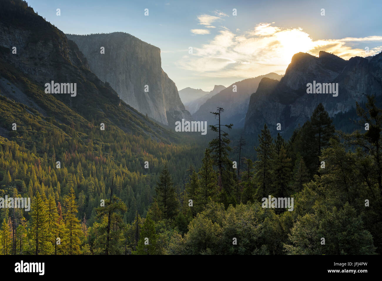 View in the Yosemite Valley, the USA, California Stock Photo