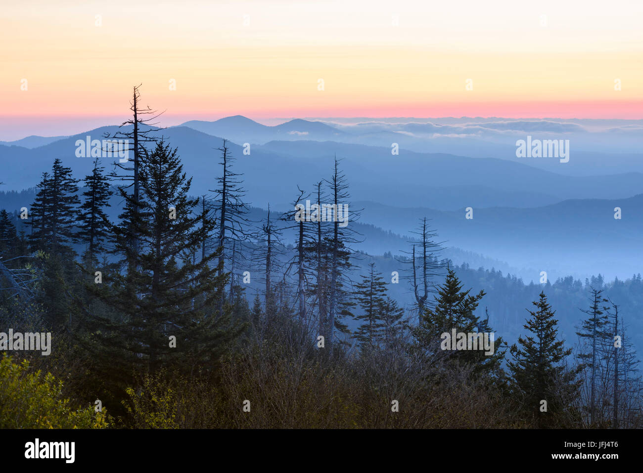 Great Smoky Mountains national park, the USA, North Carolina Stock Photo