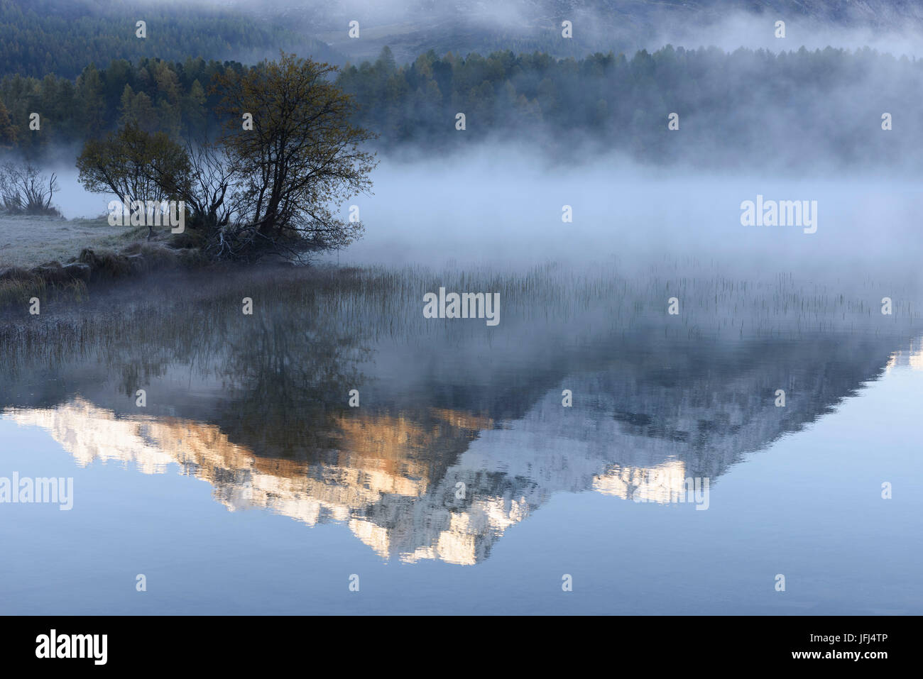 Morning fog in the Silsersee, mountains, water mirroring, Switzerland Stock Photo