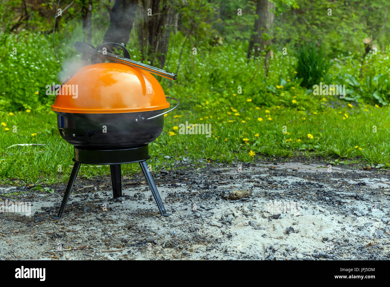 Parks with a grill near me