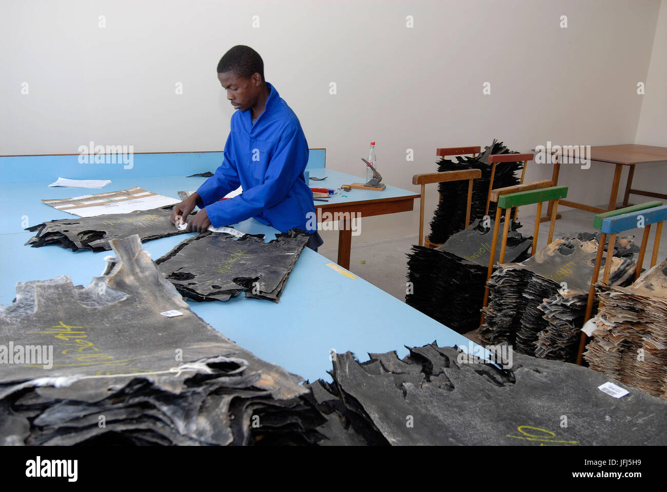 Africa, Namibia, Windhoek, Agra (agricultural company), man while the sorting of Karakul coats Stock Photo