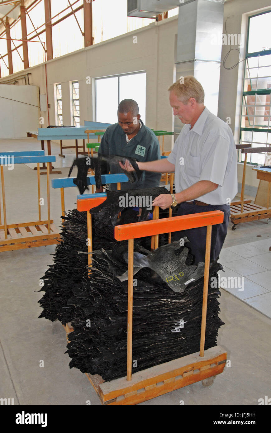 Africa, Namibia, Windhoek, Agra (agricultural company), men while sorting Karakul coats Stock Photo