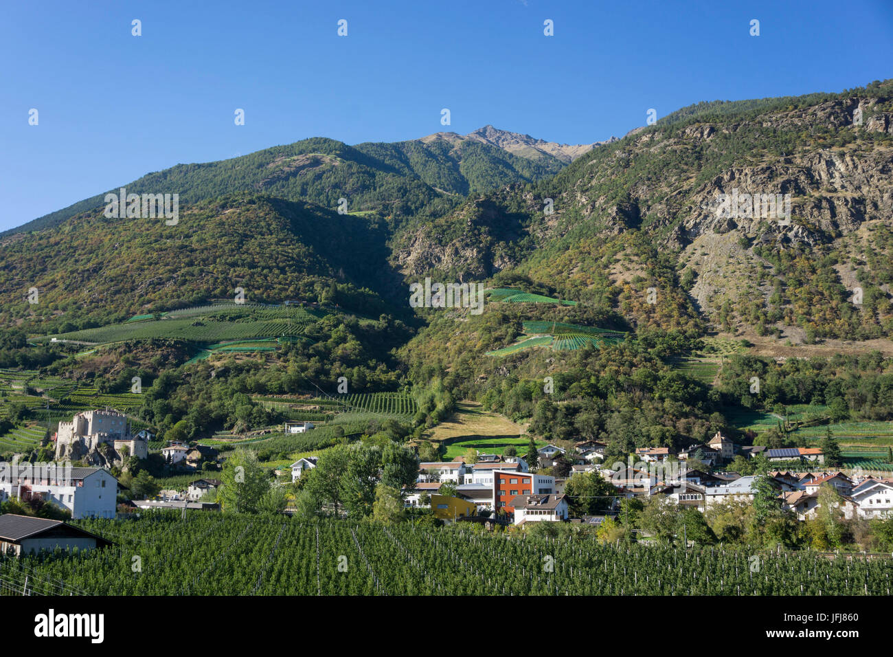 Italy, South Tirol, Vinschgau, Kastelbell, apple cultivation, Stock Photo