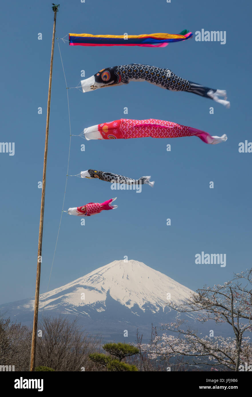 Japan, Goremba City, Koinobori celebration-and Mount Fuji Stock Photo