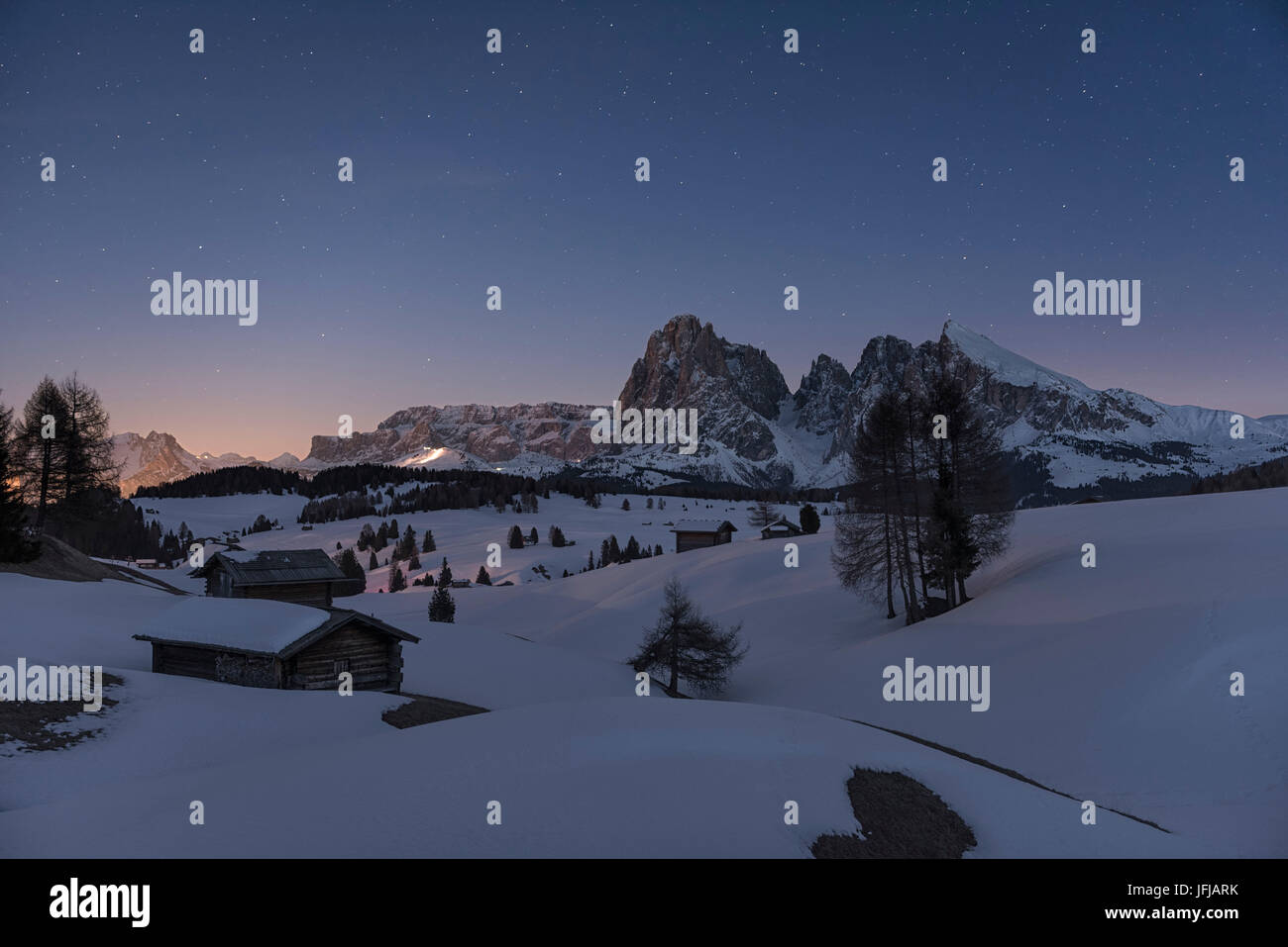 Alpe di Siusi/Seiser Alm, Dolomites, South Tyrol, Italy, Starry sky over the Alpe di Siusi / Seiser Alm with the peaks of Sassolungo / Langkofel and Sassopiatto / Plattkofel Stock Photo