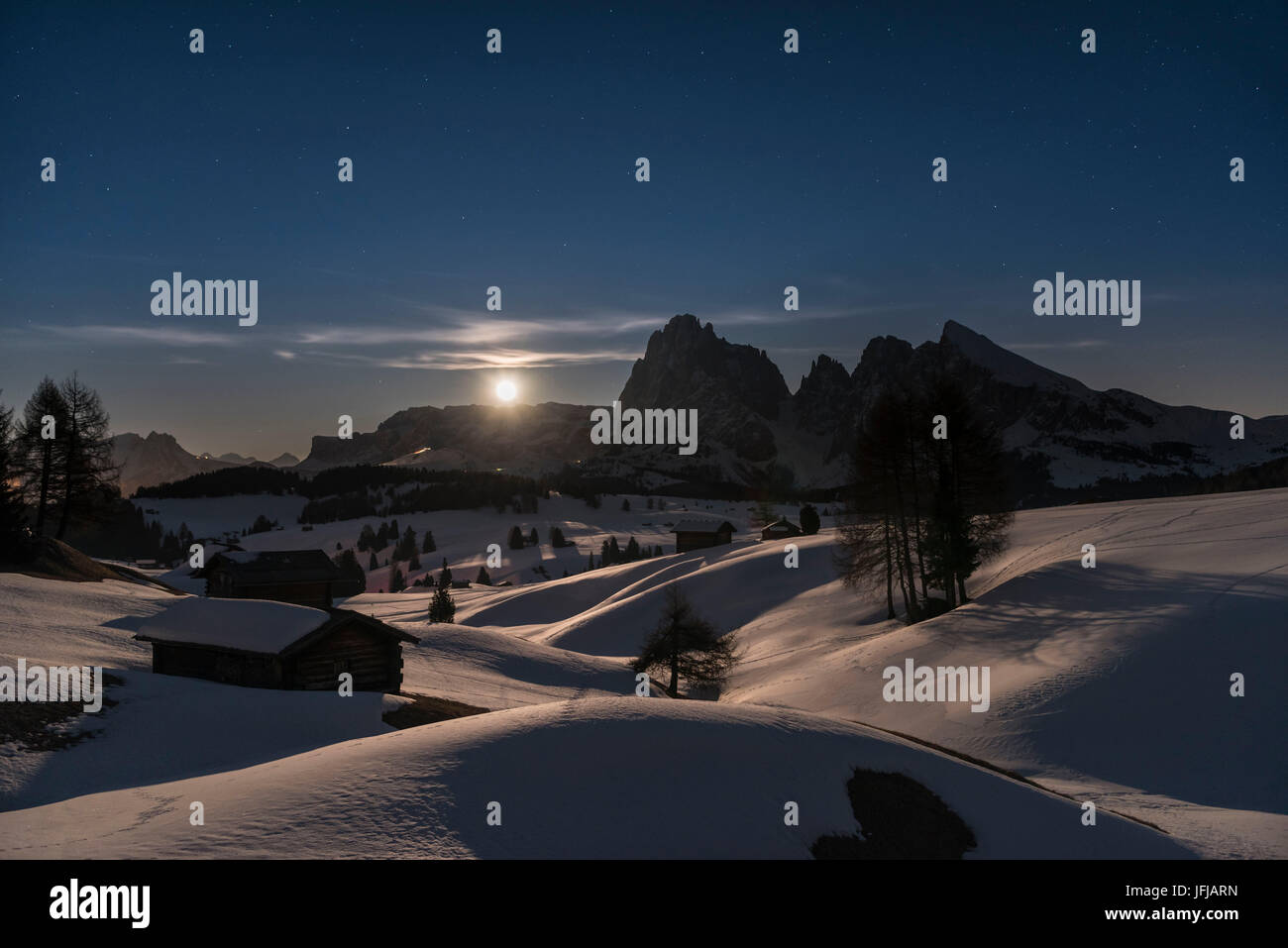 Alpe di Siusi/Seiser Alm, Dolomites, South Tyrol, Italy, Full moon night on the Alpe di Siusi / Seiser Alm with the peaks of Sassolungo / Langkofel and Sassopiatto / Plattkofel Stock Photo