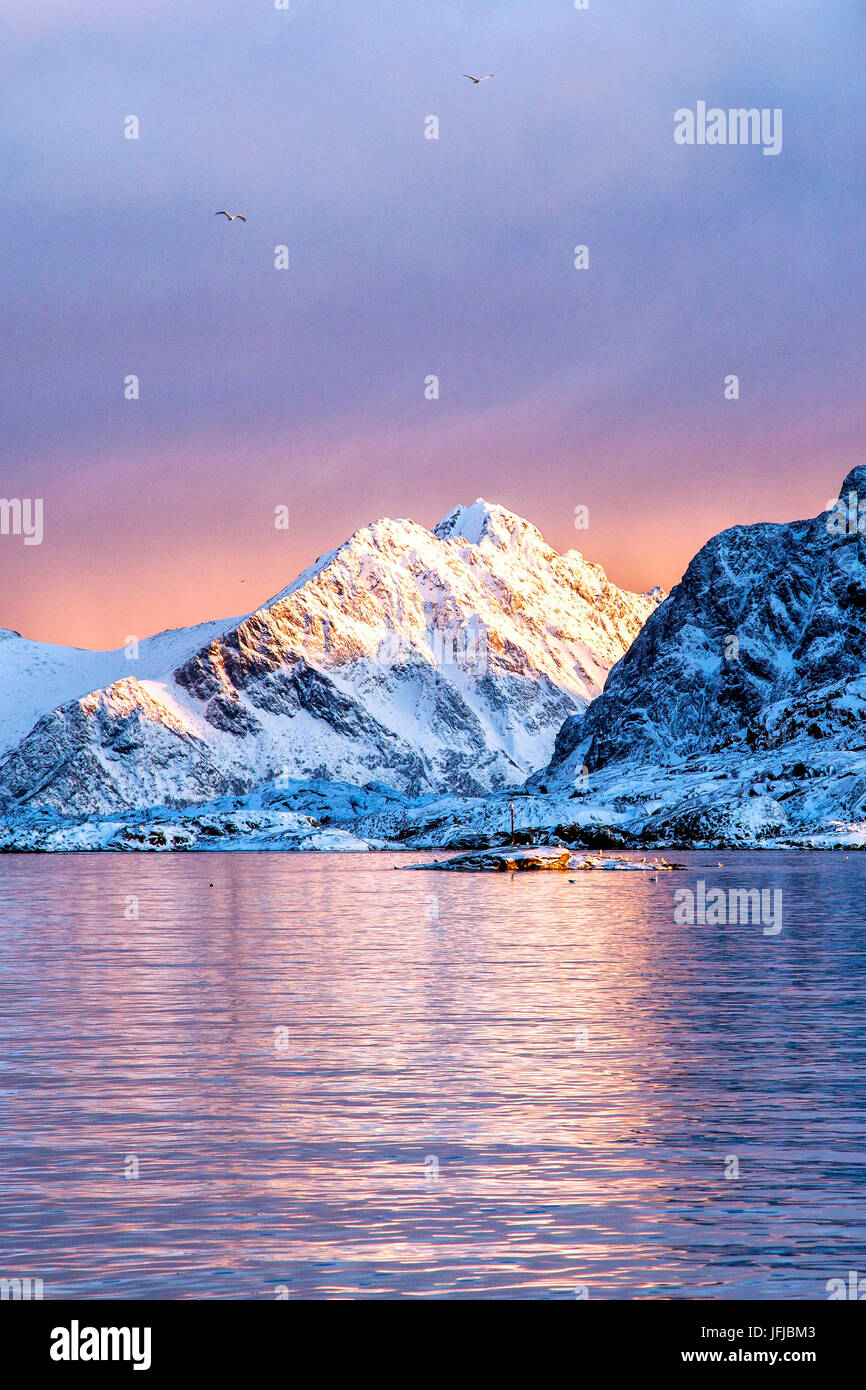 The colors of dawn light up the sea in Henningsvaer fjord, Lofoten Islands, Norway, Europe Stock Photo