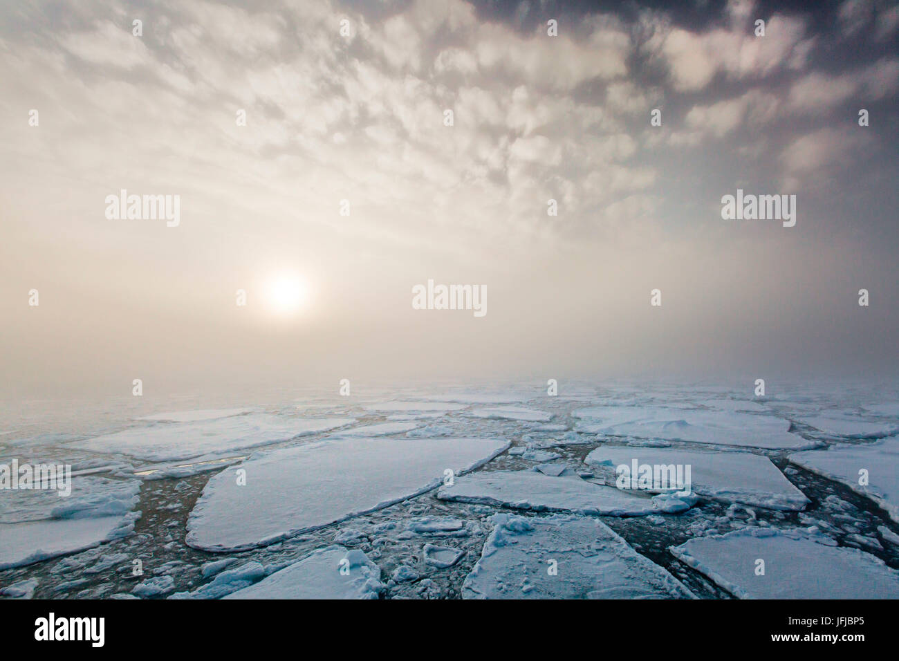 Mist on the pack ice, in the high arctic ocean, north of Spitsbergen, Svalbard islands, Stock Photo