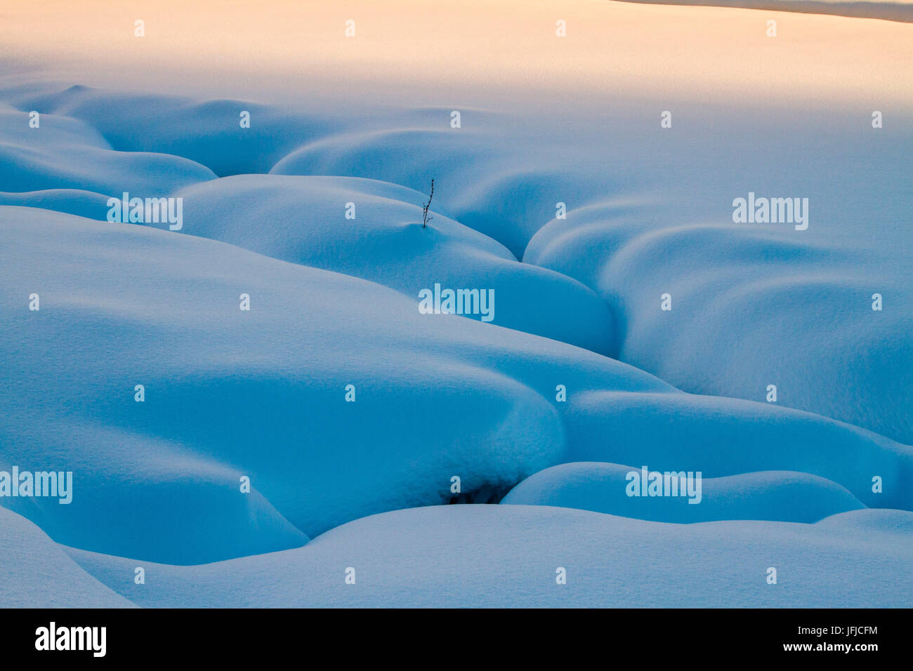 Pristine dunes of snow in winter Stock Photo