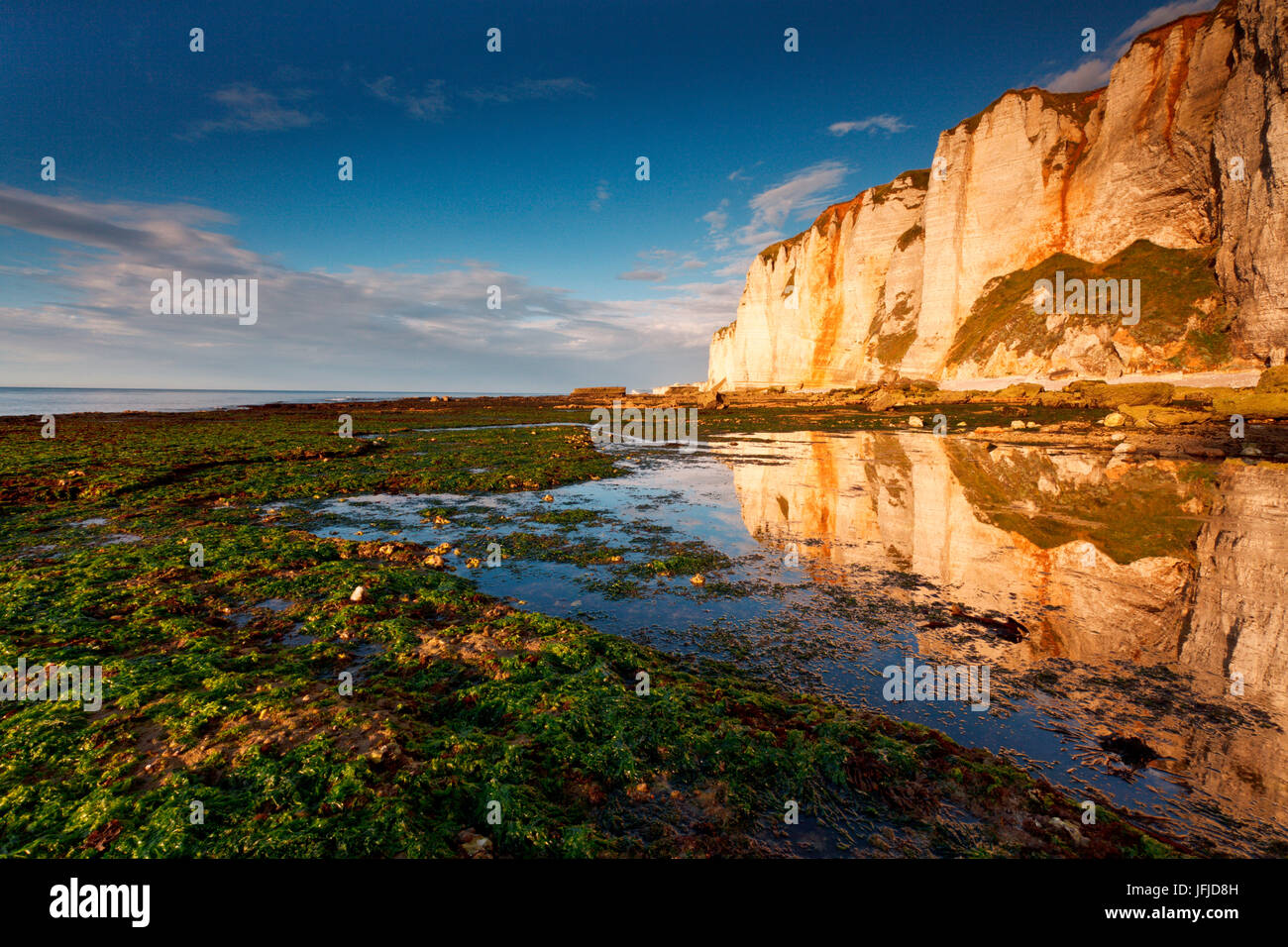 Etretat, Normandy, France, The cliffs seen from a beach where the low tide glimpse the ocean's depth Stock Photo