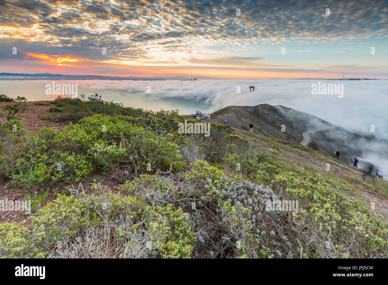 Golden Gate Bridge with morning fog shot at sunrise from Slackers Hill, San Francisco, Marin County, California, USA, Stock Photo