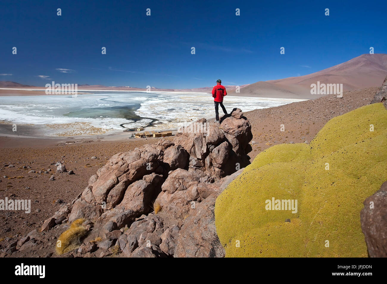A tourists climbing some rocks not far from the plain of the Salar de Chalviri where lies the Laguna Salata (salt lagoon), In the foreground the yareta or llareta (Azorella compacta), a flowering plant in the family Apiaceae native to South America, It occurs in the Puna grasslands of the Andes in Peru, Bolivia, Chile, Argentina at altitudes between 3, 200 and 4, 500 metres Stock Photo