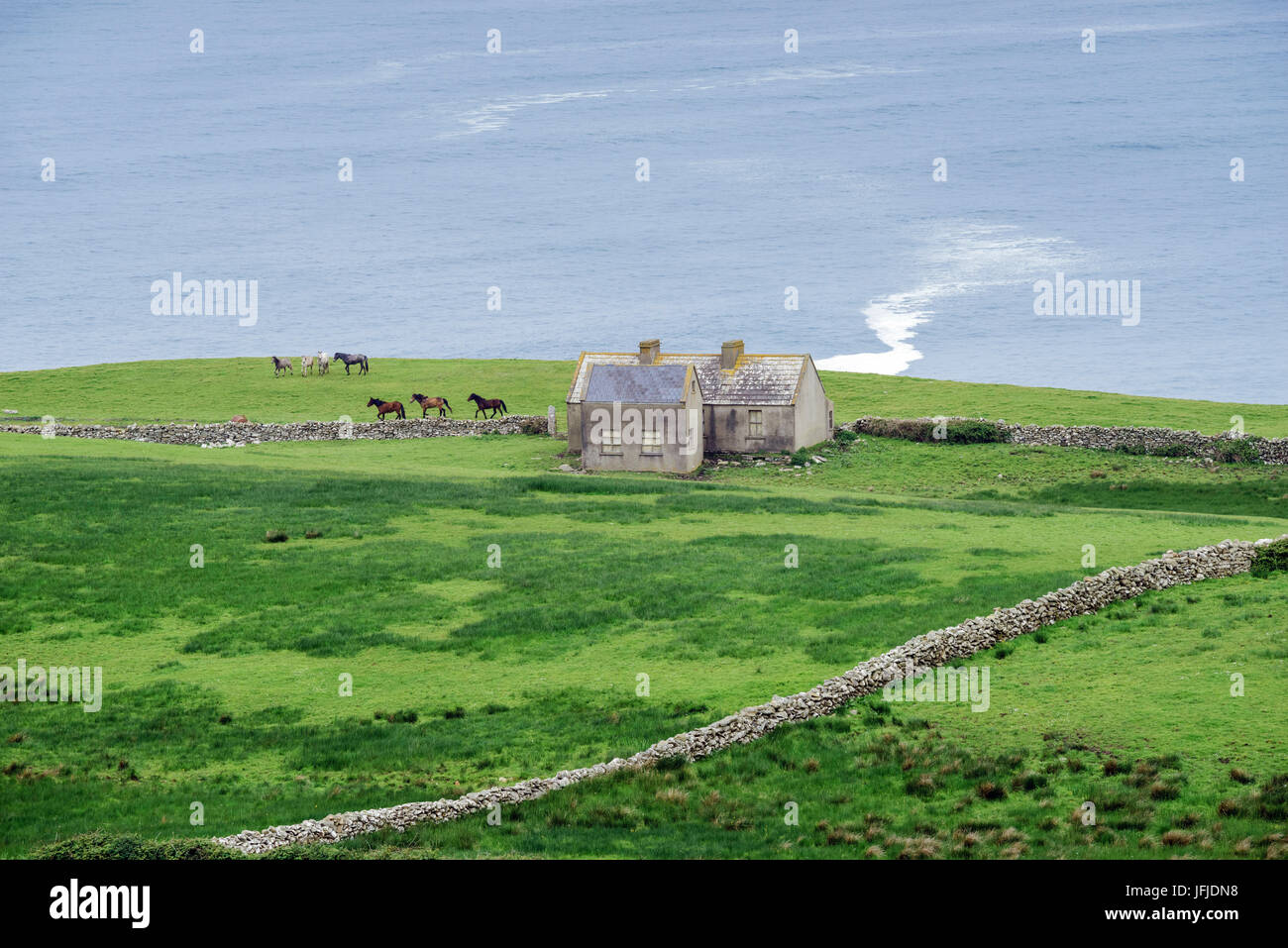 Irish landscape with cottages and horses near Doolin, Munster, Co, Clare, Ireland, Europe, Stock Photo