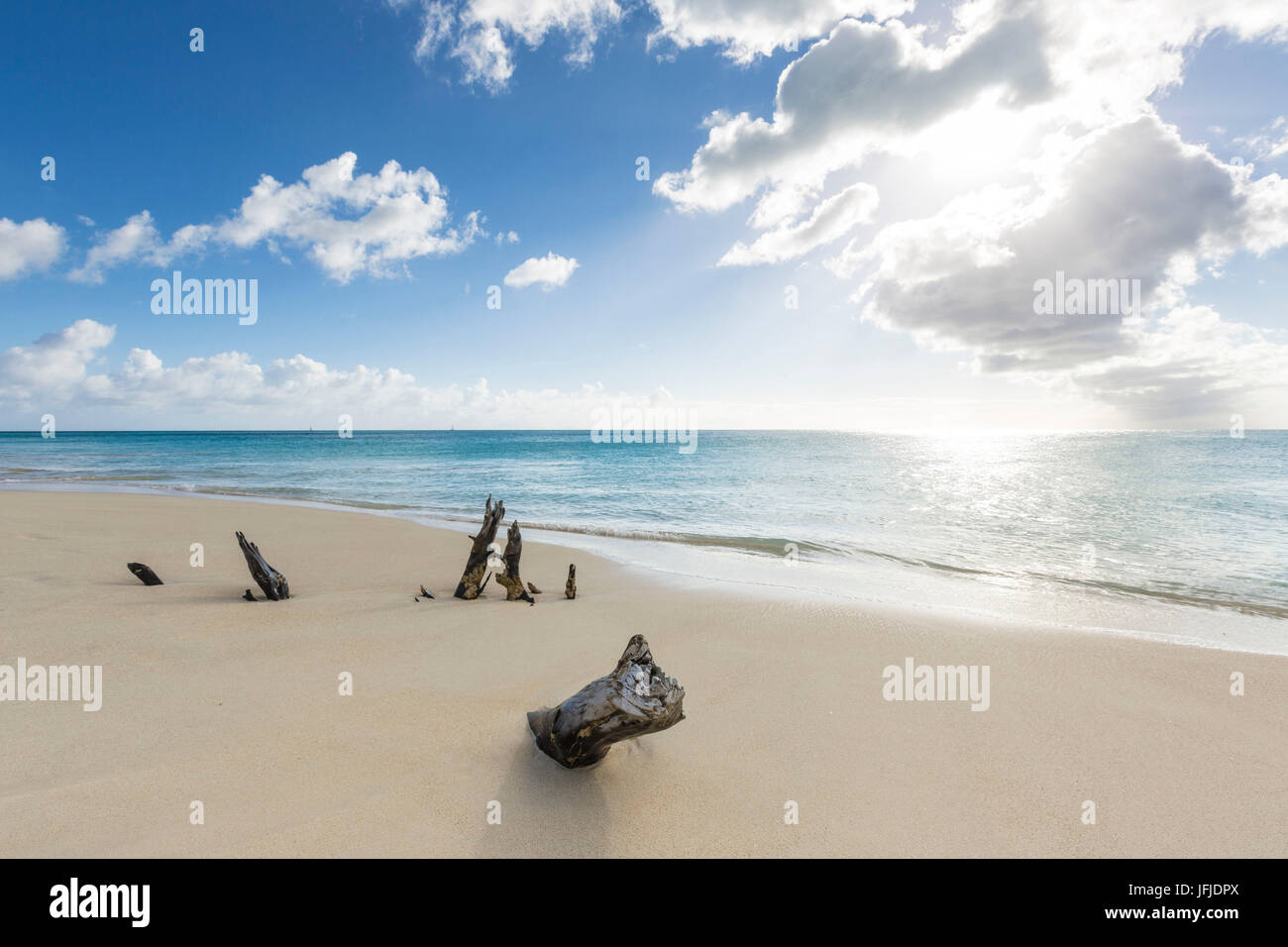 Tree trunks on the beach framed by the crystalline Caribbean Sea Ffryers Beach Antigua and Barbuda Leeward Islands West Indies Stock Photo