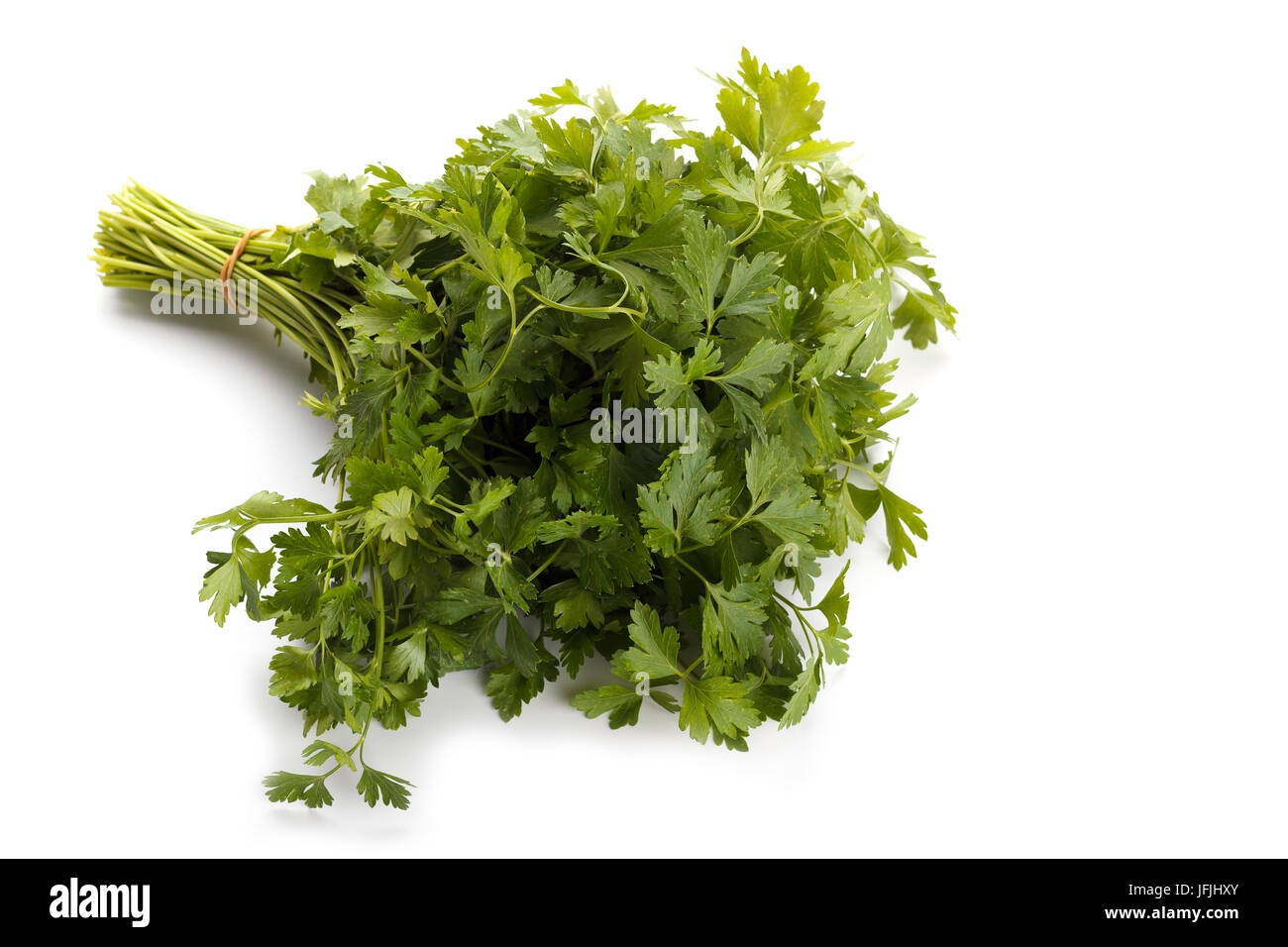 Bunch of parsley Stock Photo Alamy