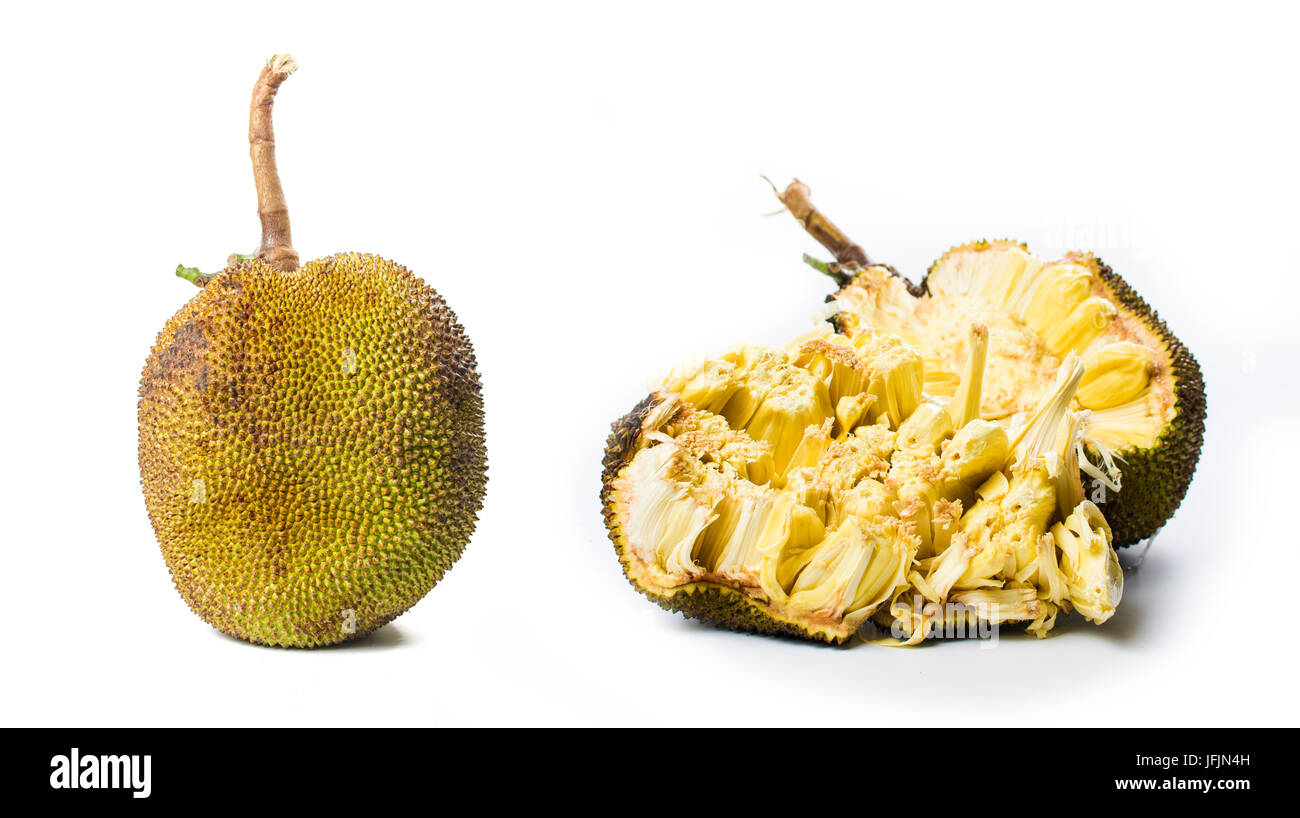 Whole jackfruit isolated on white background. Tropical fruit Stock Photo
