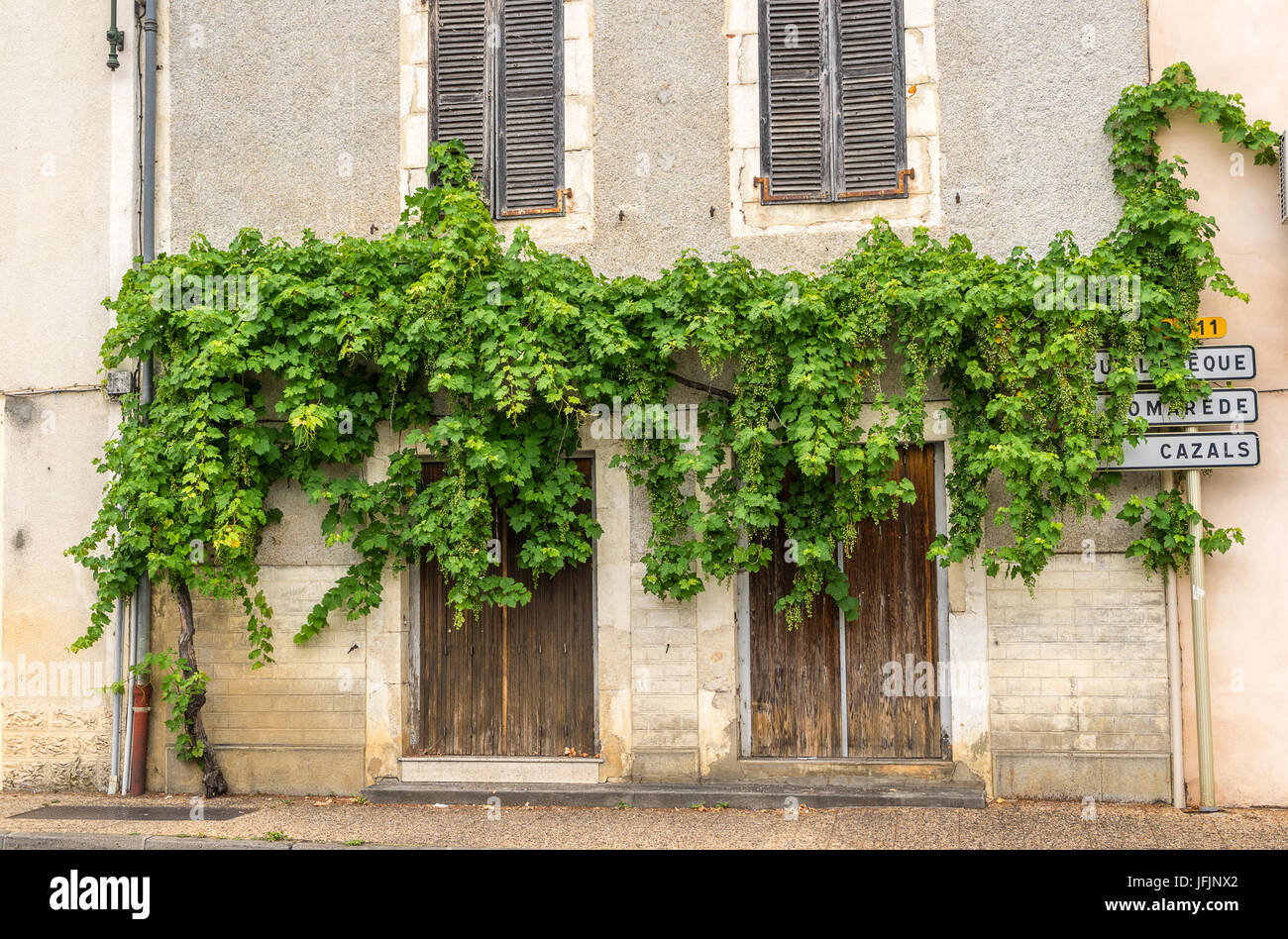 Grapes and vine and france hires stock photography and images Alamy
