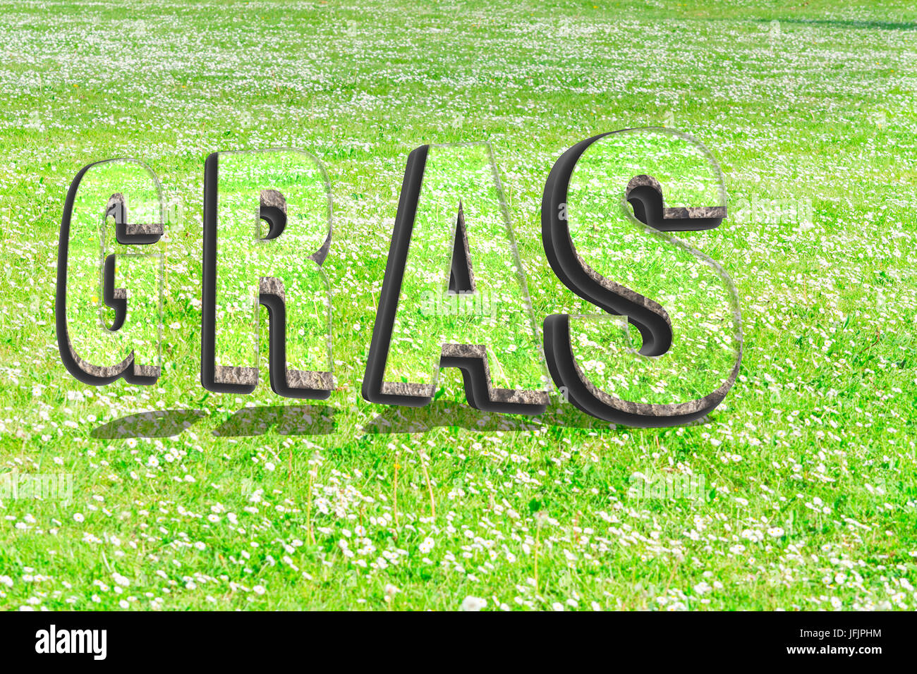 The word grass in green grass structure in 3D Stock Photo Alamy